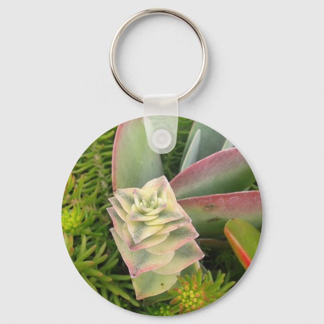 Pretty Succulents Keychain (Front)
