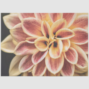 Pretty Summer Dahlia Flower (Beautiful Floral Art) Tissue Paper