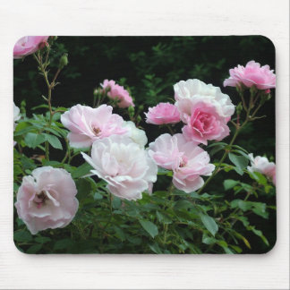 Pretty summer pink rose flowers mouse pad