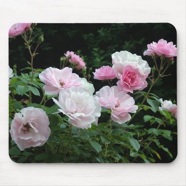 Pretty summer pink rose flowers mouse pad (Front)