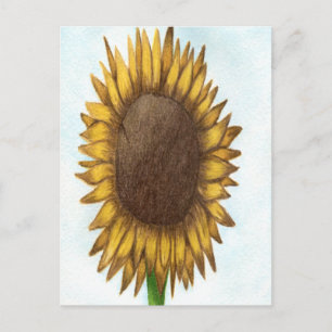 Pretty Sunflower Postcard