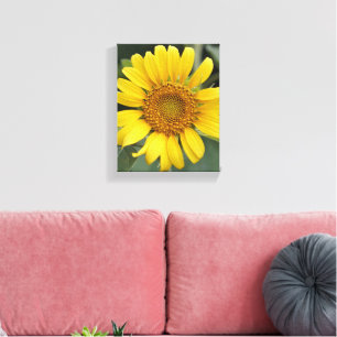 Pretty Sunny Yellow Sunflower 8" x 10" Canvas Print