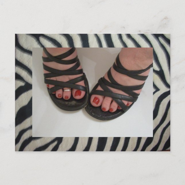 Pretty Toes Zebra Postcards (Front)