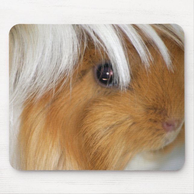 Pretty, Tricolor, Smooth, Guinea Pig Face Mouse Pad (Front)