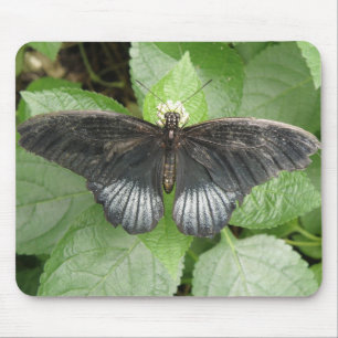Pretty Tropical Butterfly and Flowers Mousepad