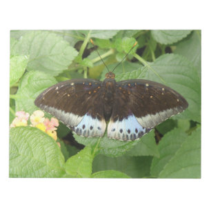 Pretty Tropical Butterfly Notepad
