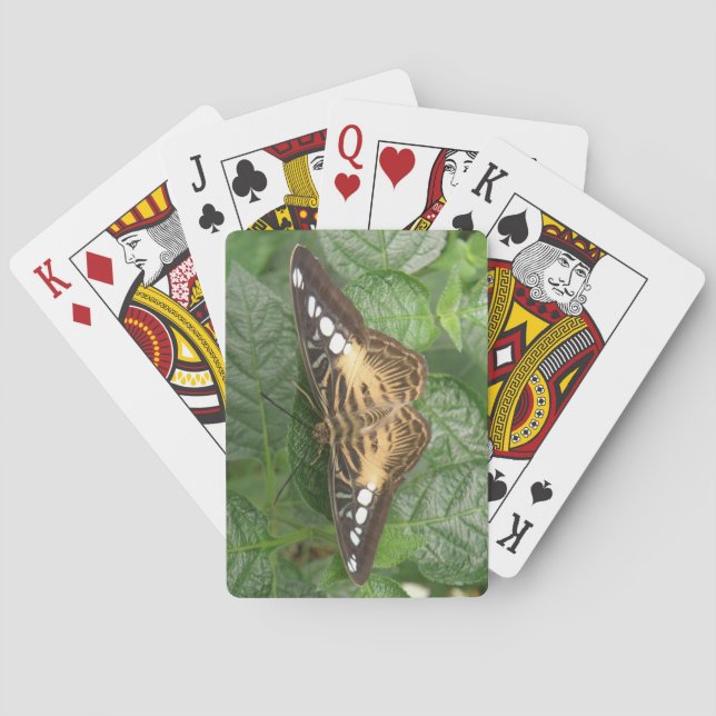 Pretty Tropical Clipper Butterfly Playing Cards (Back)