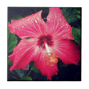 Pretty Tropical Flower Tile