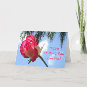 Pretty Tropical Happy Mothers Day Grandma Cards
