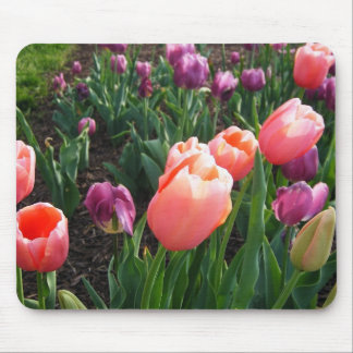Pretty Tulips Mouse Pad
