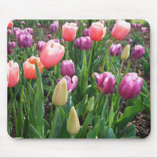 Pretty Tulips Mouse Pad
