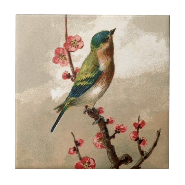 Pretty Vintage Bird Tile (Front)