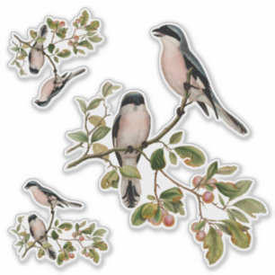 Pretty Vintage Birds In Red Berry Tree