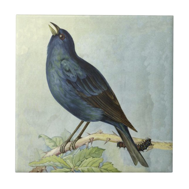 Pretty vintage Black Bird Branch With Caterpillar Tile (Front)