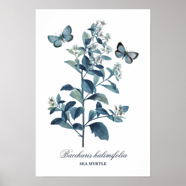 Pretty Vintage Blue Botanical Floral Print (Front)