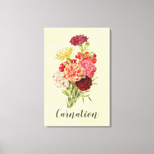 Pretty Vintage Carnation Bouquet  Canvas Print