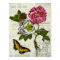Pretty Vintage Collage
