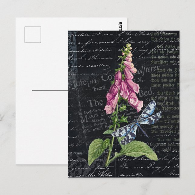 Pretty Vintage Flower & Butterfly Botanical  Postcard (Front/Back)