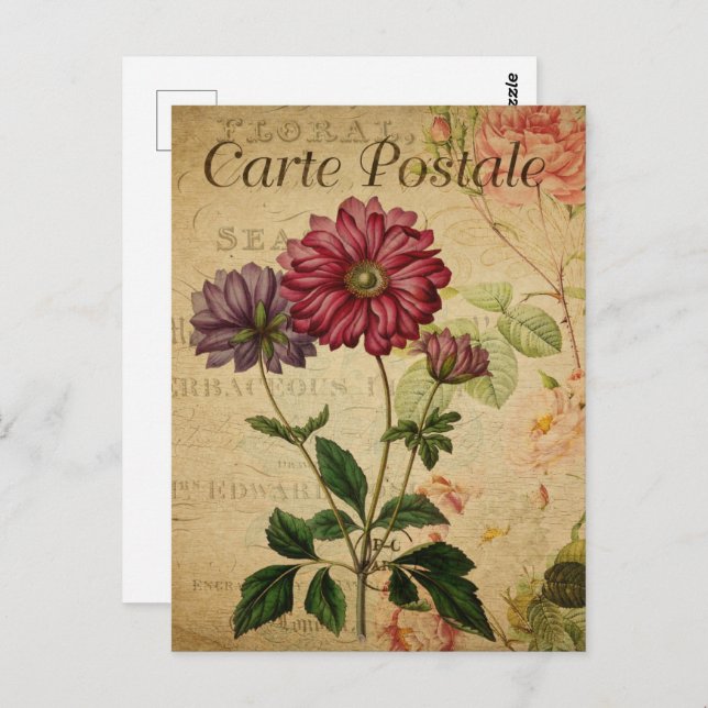 Pretty Vintage Flowers Postcard (Front/Back)