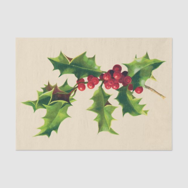 Pretty Vintage Holly branch Tissue Paper (Front)