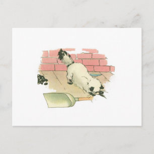 Pretty Vintage Kitty Postcard