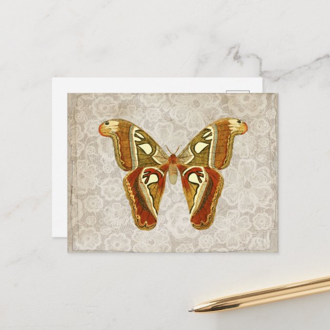 Pretty Vintage Moth Botanical   Postcard (Front/Back In Situ)