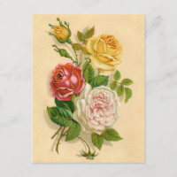 Pretty Vintage Rose Illustration