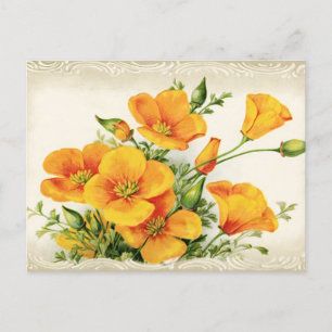 Pretty Vintage Yellow Flowers Holiday Postcard