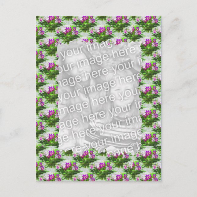 Pretty Violets Floral Photo Postcard (Front)