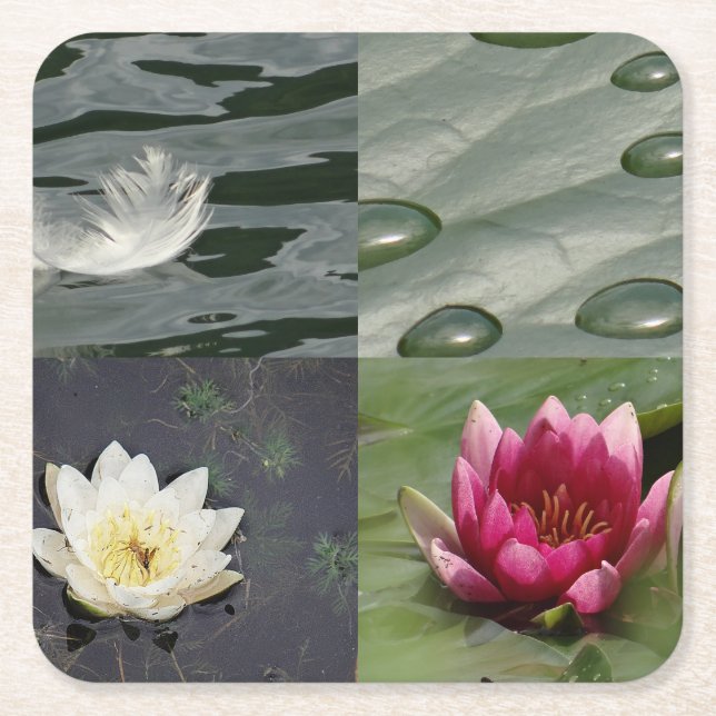 Pretty Water Lilies Square Paper Coaster (Front)