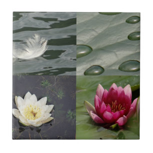 Pretty Water Lilies Tile