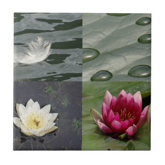 Pretty Water Lilies Tile