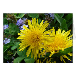 Pretty Weeds