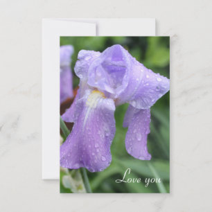 Pretty Wet Iris. Card