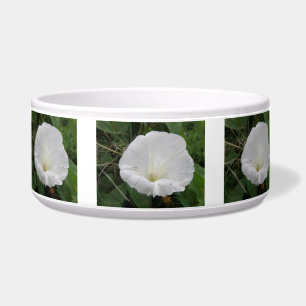 Pretty White Convolvulus Flower Dog Bowl
