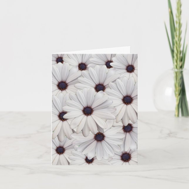 Pretty White Daisies Blank Note Card (Front)
