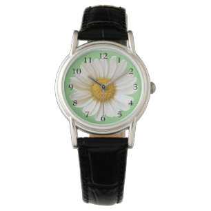 Pretty White Daisy on Sage Green Watch