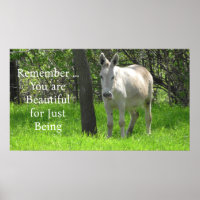 Pretty White Donkey in Green Field of Grass