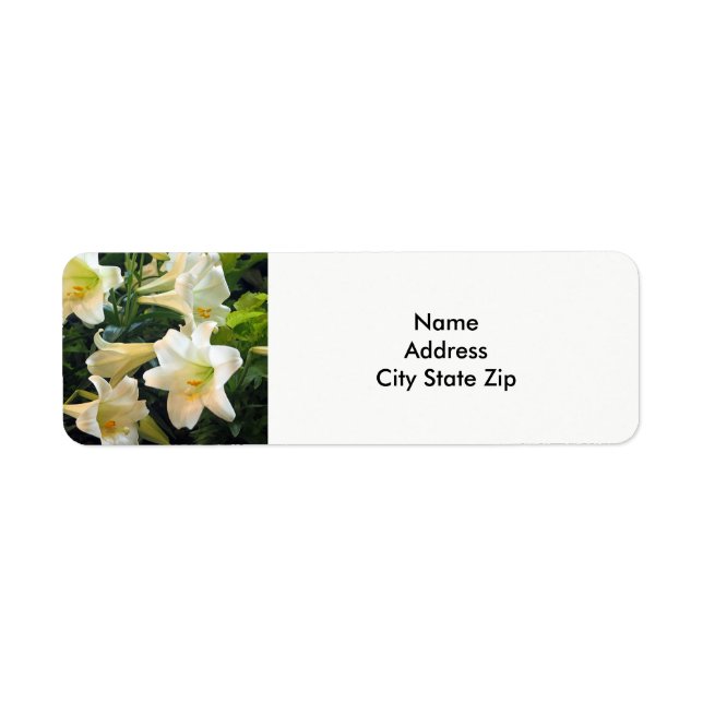 Pretty White Easter Lilies Floral Photo (Front)