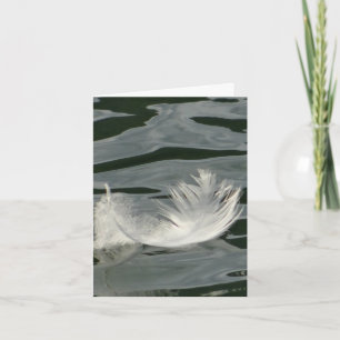 Pretty white feather note card