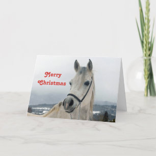 Pretty White Horse Photo Christmas Holiday Card