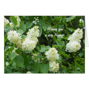Pretty  White Lilac Bush