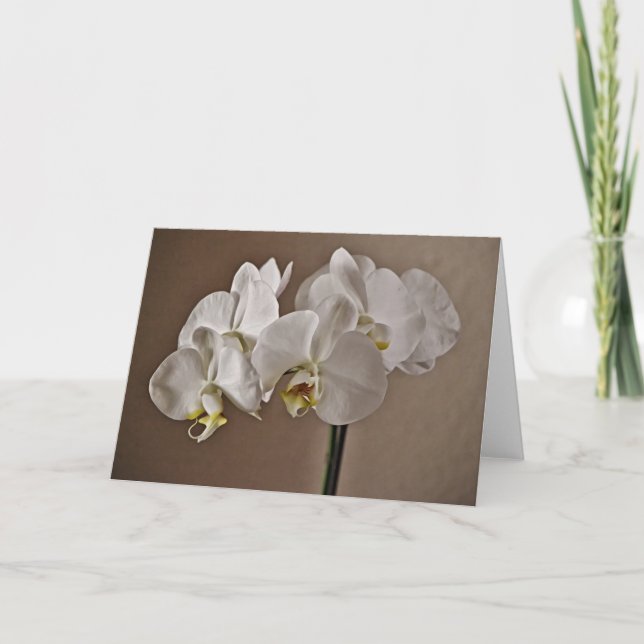 Pretty White Orchid Flowers Note Card (Front)