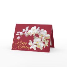 Pretty White Orchid Red Backdrop Happy Birthday