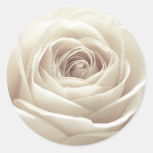 Pretty White Rose Classic Round Sticker