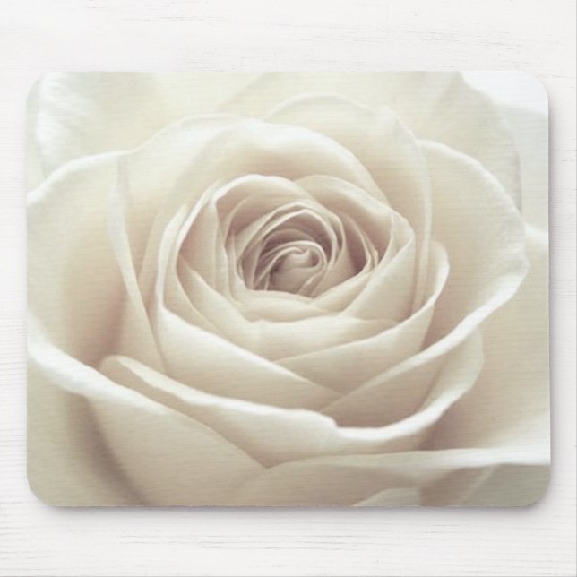 Pretty white rose mouse pad (Front)
