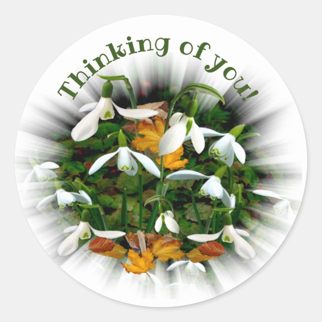 Pretty White Snowdrops Thinking Of You Classic Round Sticker (Front)