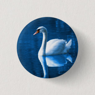 Pretty white swan floating on a blue lake 1 inch round button