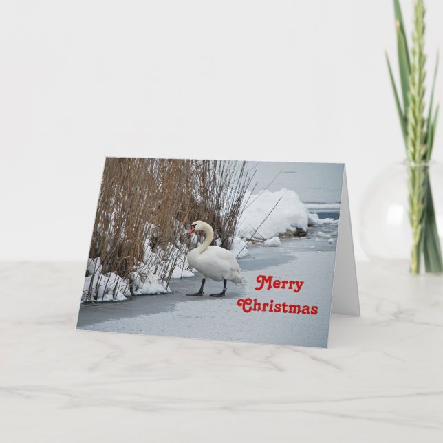 Pretty White Swan Snow Photo Christmas Holiday Card (Front)