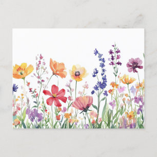 Pretty Wildflowers Colourful Floral Beautiful Postcard
